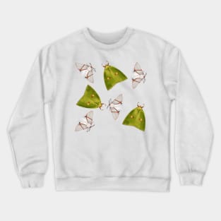 White and green Crewneck Sweatshirt